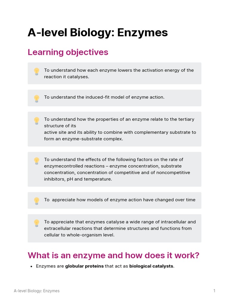 AQA ALevel Biology Enzymes PDF Active Site Enzyme