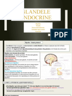 Glandele Endocrine