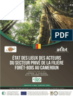 02 06 20 CAMEROUN Rapport Etat Des Lieux I2D VF