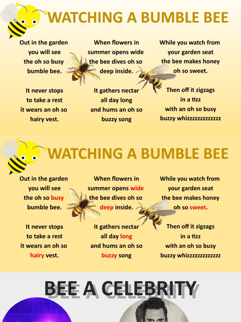 Observing Busy Bumble Bees | PDF | Language Arts & Discipline | Home ...