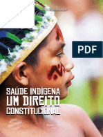 Saude Indigena Direito Constitucional