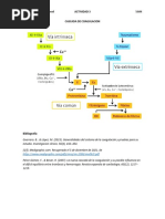 Exámenes de TP y TPT: Guía Completa | PDF | Coagulación | Fluidos ...