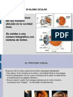 Globo Ocular