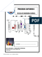 Teoria Actualiz. Proc.i-100