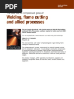Download HSE Welding Flame Cutting by coloradoami SN54758195 doc pdf