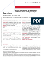 Analgesic Efficacy of Two Approaches of.5 (1)