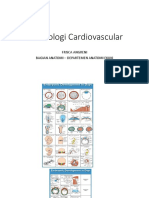 Embriologi Cardiovaskular Blok 14
