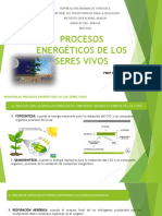 Procesos energéticos de los seres vivos