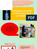 EJEMPLO DE PROGRAMA DE ENFERMERIA Alejandra