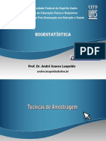 Técnicas de Amostragem e Dimensionamento Amostral