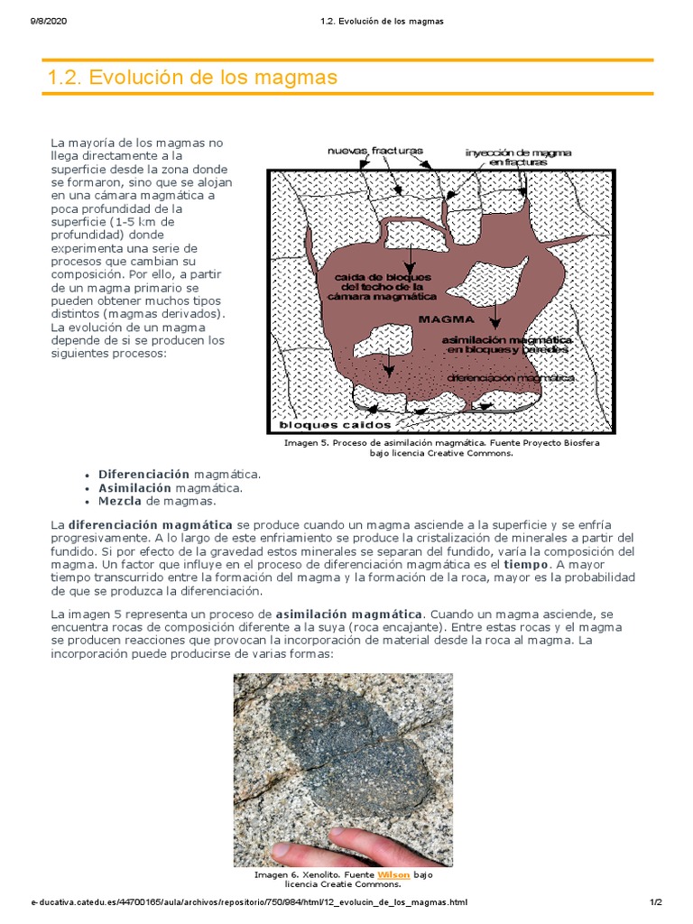 Evolución y Asimilación del Magma | PDF | Magma | Roca (geología)