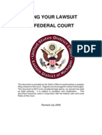 Lawsuit Federal Court Guide