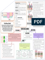 MEMBRANE PLASMA - Mind Map