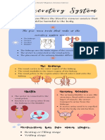 The Excretory System