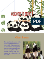 Learn About Endangered Giant Pandas: Habitat, Diet, Population and Conservation Efforts