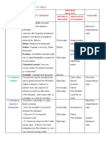 Anico Proiect 2021 Bine 11