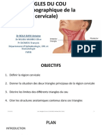 Les Triangles Du Cou