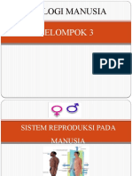 374245155 Ppt Sistem Reproduksi Manusia(1)