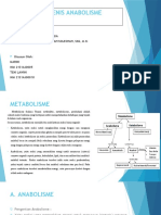 Jenis - Jenis Anabolisme