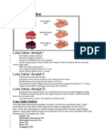 Derajat Luka Bakar