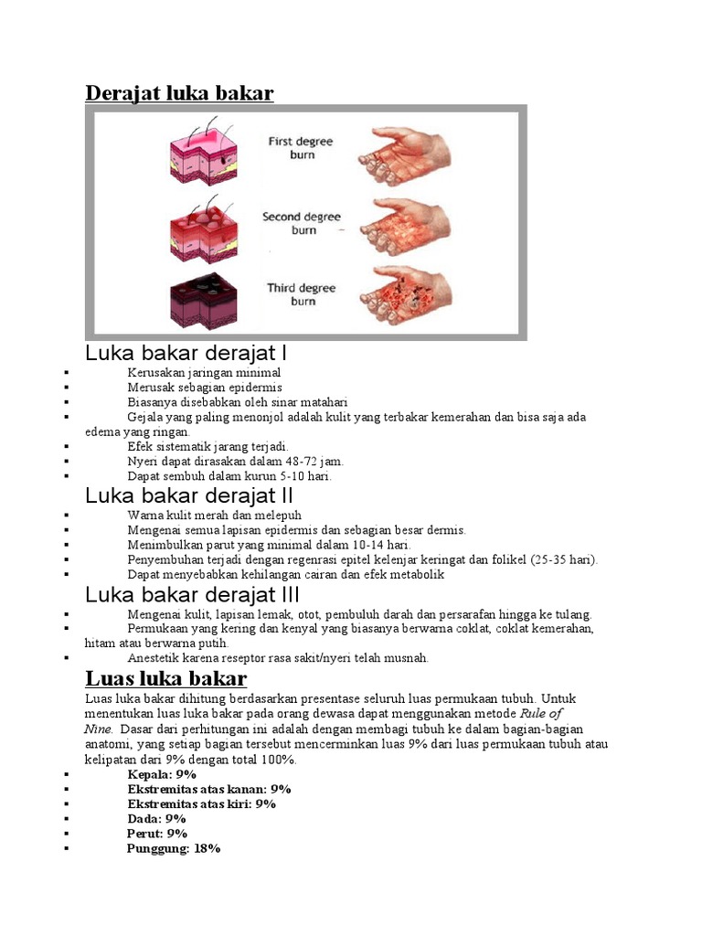 Derajat Luka Bakar | PDF