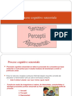 procese-cognitive-senzoriale-senzatii-perceptii-reprezentari