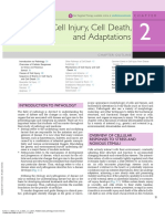 Robbins Basic Pathology - Vinay Kumar (2017) 2. Cell Injury Cell Death and Adaptations