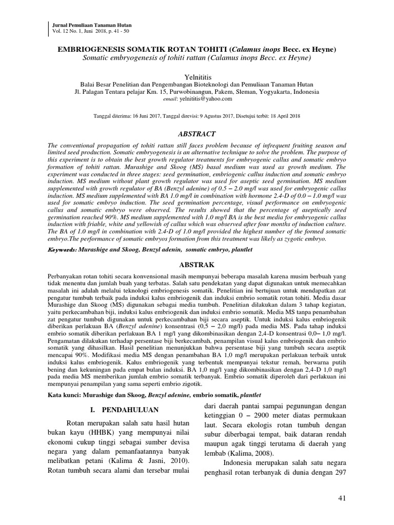 Somatic Embryogenesis of Tohiti Rattan (Calamus Inops Becc. Ex Heyne ...