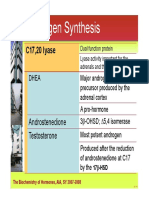 Androgen Synthesis: C17,20 Lyase