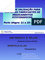 Validação Porto Alegre Primeiro Dia