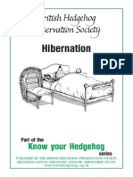 L2 Hedgehog Hibernation