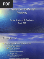 Lecture 1, Introduction To Dental Anatomy