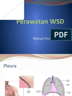 Perawatan WSD (1)