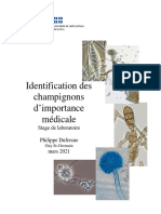 Identification Champignons Importance Medicale (1)