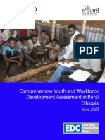 Comprehensive Youth and Workforce Development Assessment in Rural Ethiopia
