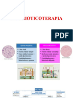 ANTIBIOTICOTERAPIA