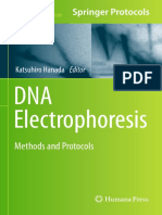  DNA Electrophoresis 
