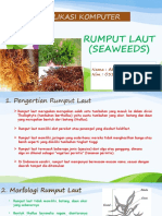 UNTUK RUMPUT LAUT