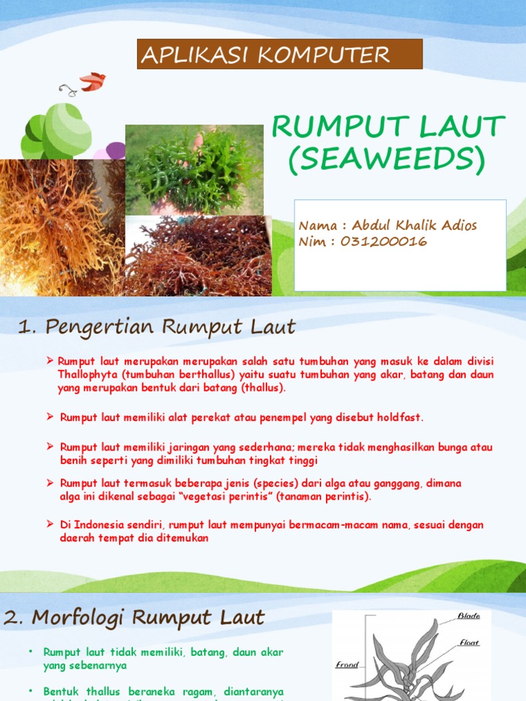 ppt-rumput-laut-pdf