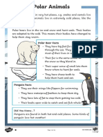 Winter Animals Differentiated Reading Comprehension Activity Arabic English