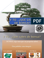 Y Tú... ¿Qué Sabes de Bonsai