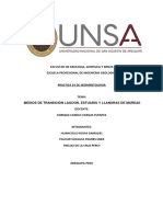 Practica 10 - Sedimentologia Medios de Transición Lagoon, Estuario y Llanuras de Marea