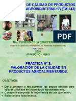 PRACTICA  II  TA-543 2020