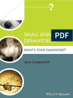 Small Animal Dermatology What's Your Diagnosis