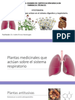 FITOTERAPIA Aparato Digestivo Respiratorio Presentación