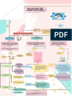 Niveles de Prevencion