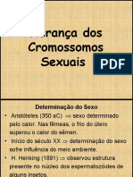 AulaHCromo Sex PIOX