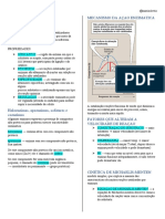 Resumo Enzimas Medicina