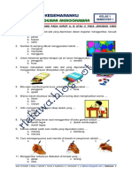 Soal Kelas 1 Tema 2. Subtema 3 Revisi