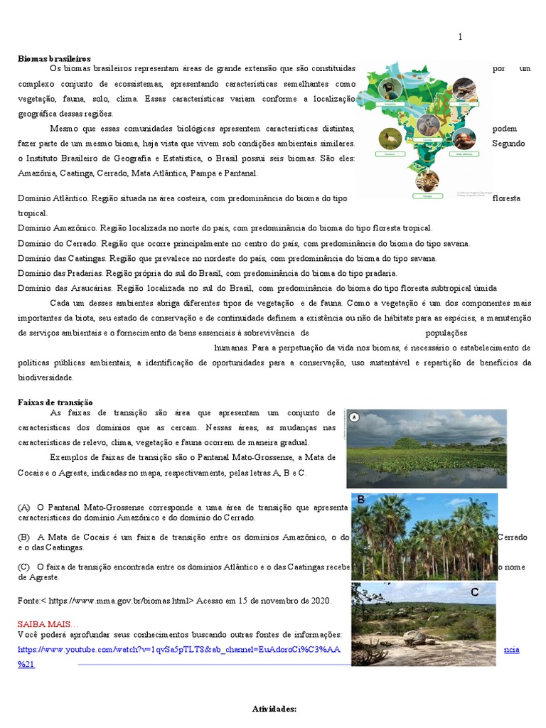 Atividades 7 Ano - 23 | PDF | Floresta Amazônica | Florestas